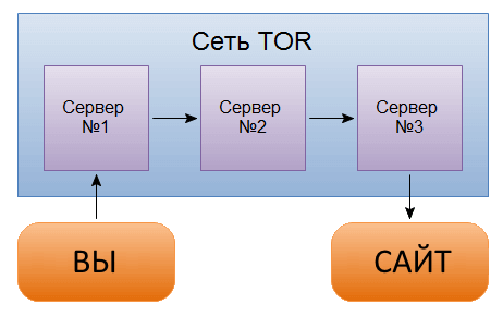 Tor browser вход вход на гидру martiderm proteos hydra